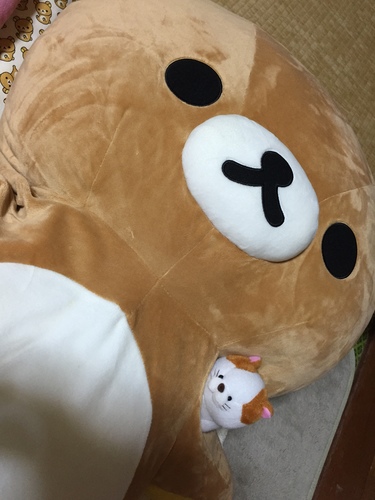 majさん
