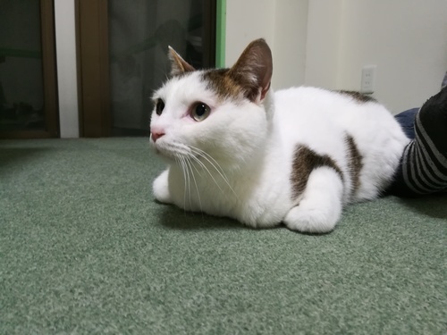 ゆっき～さん