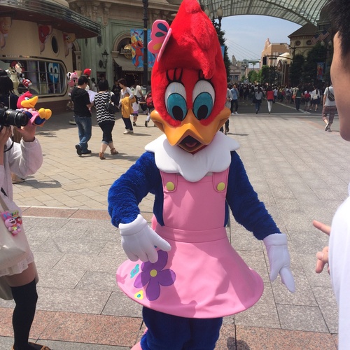 きょう