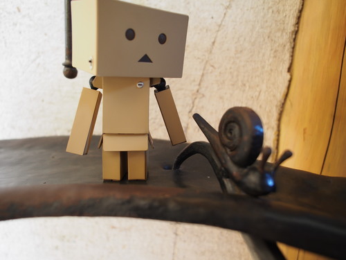 ダンデらいおん