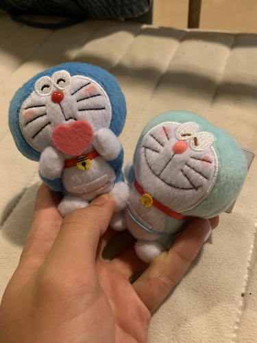 しょーや