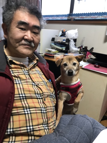 照人