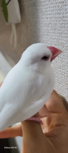 かもさんさん