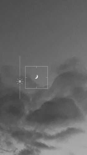 黄色いハリネズミ