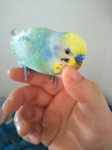 悠