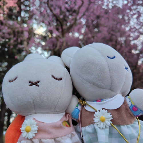 さほっちさん