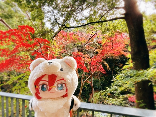 しそ