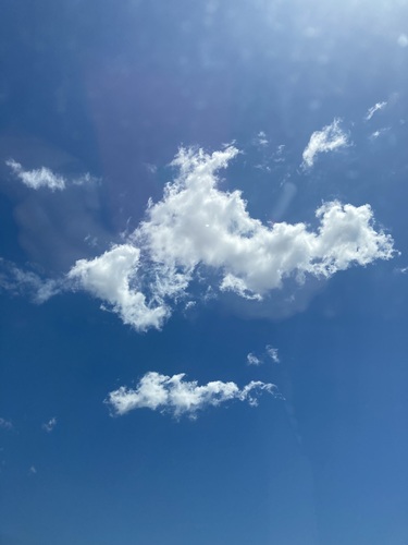 真夏のサンタクロース