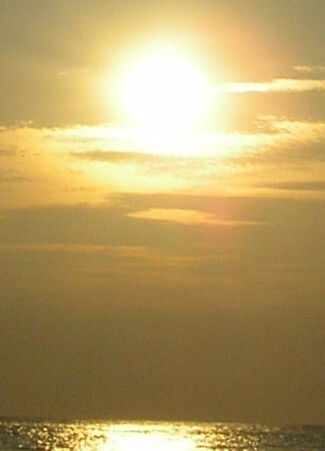 アップルウーロン