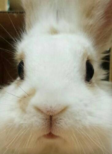 ちゆりゅうすけ