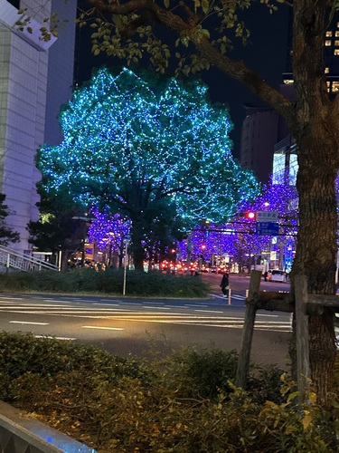 みい