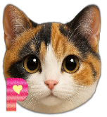 pinkuh