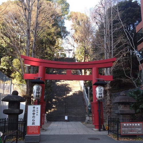 のんちっち