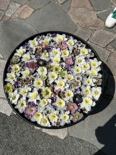 あずき
