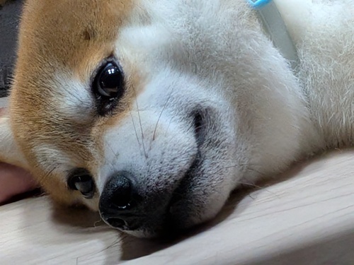 まる