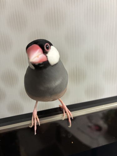 絵里さん