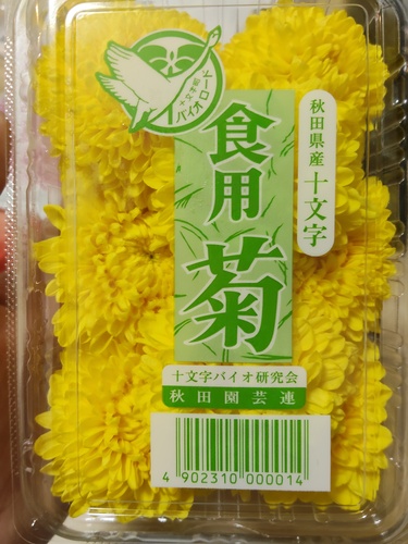 きっくん