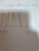 透明の色鉛筆入れ