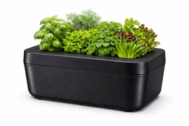 藻の発生を抑える遮光できる水耕栽培セット