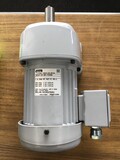 インダクションギアモーター ニッセイ GTR G3LM-22-60-T020A_画像4