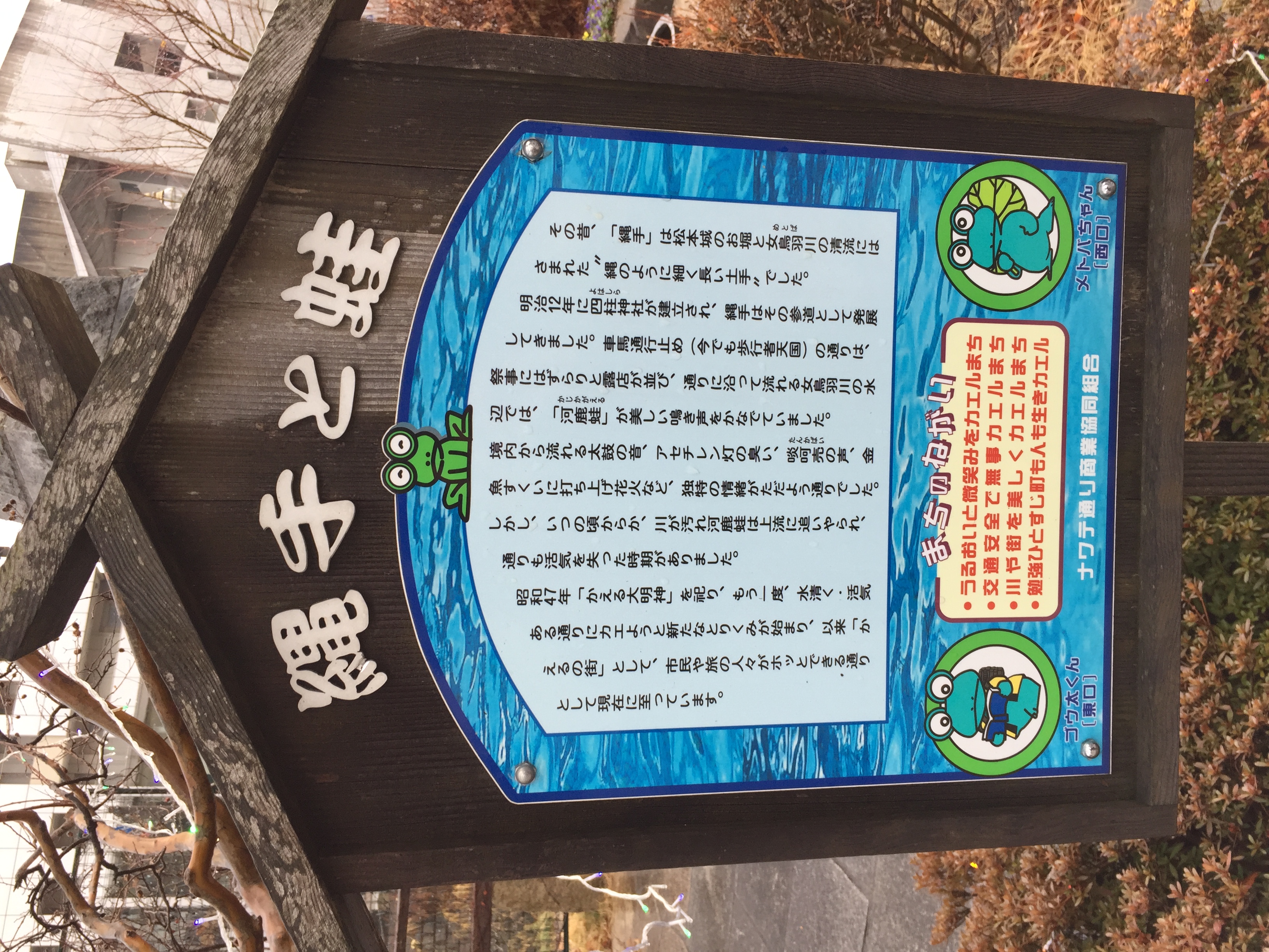 繩手と蛙 - Monumento(モニュメント)