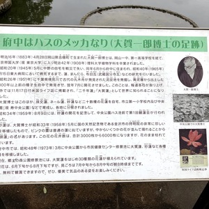 府中はハスのメッカなり（大賀一郎博 - Monumento(モニュメント)
