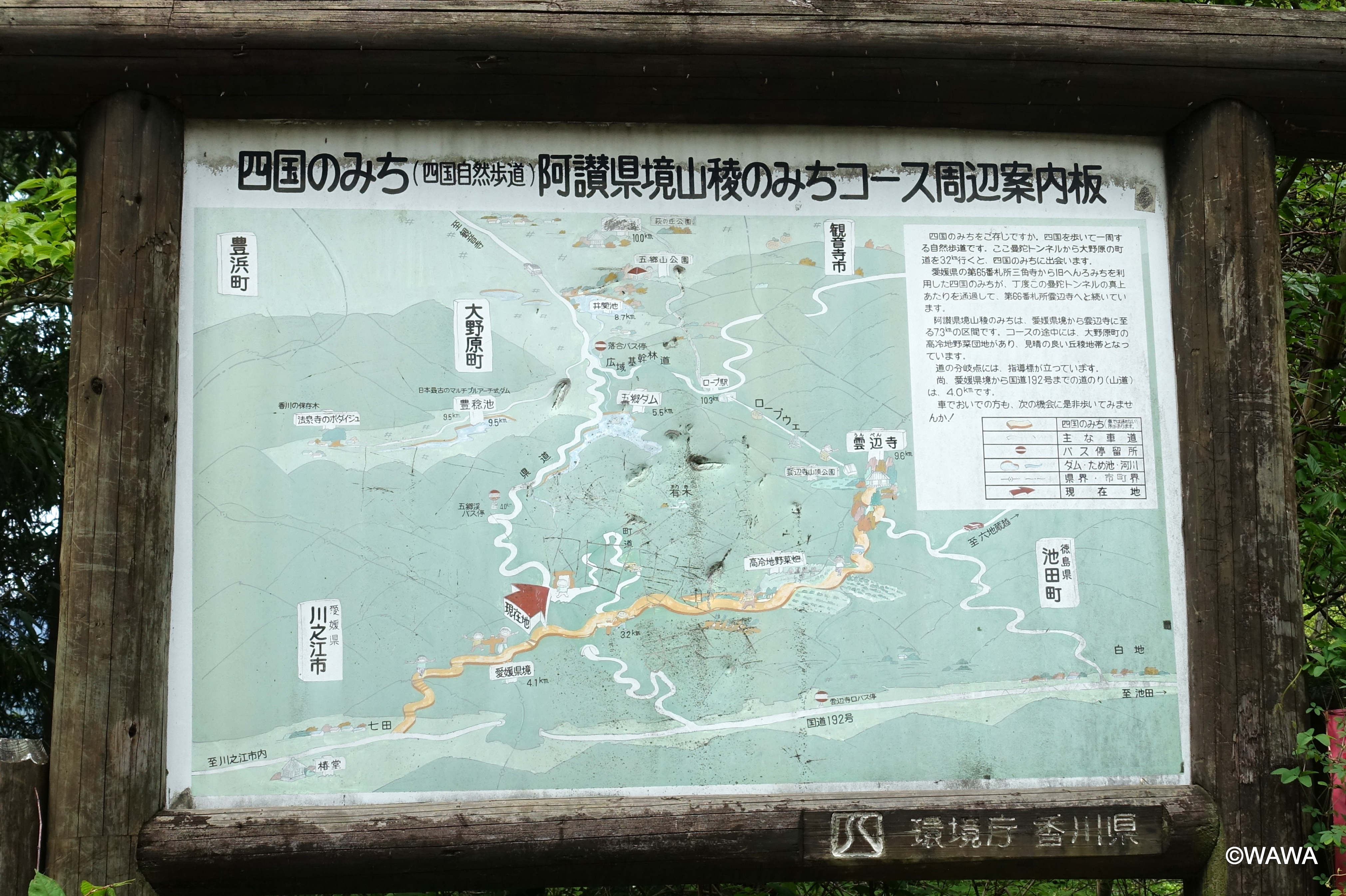 道南の自然を歩く 函館】函館山登山｜自然｜函館観光｜ハコチャ - YouTube