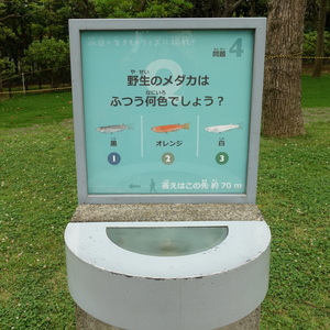 square.JPG?1531298946