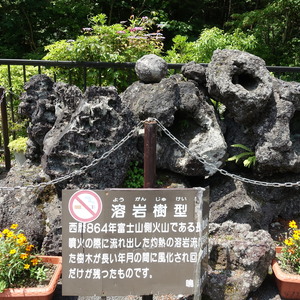 溶岩樹型 ようがんじゅ けい - Monumento(モニュメント)