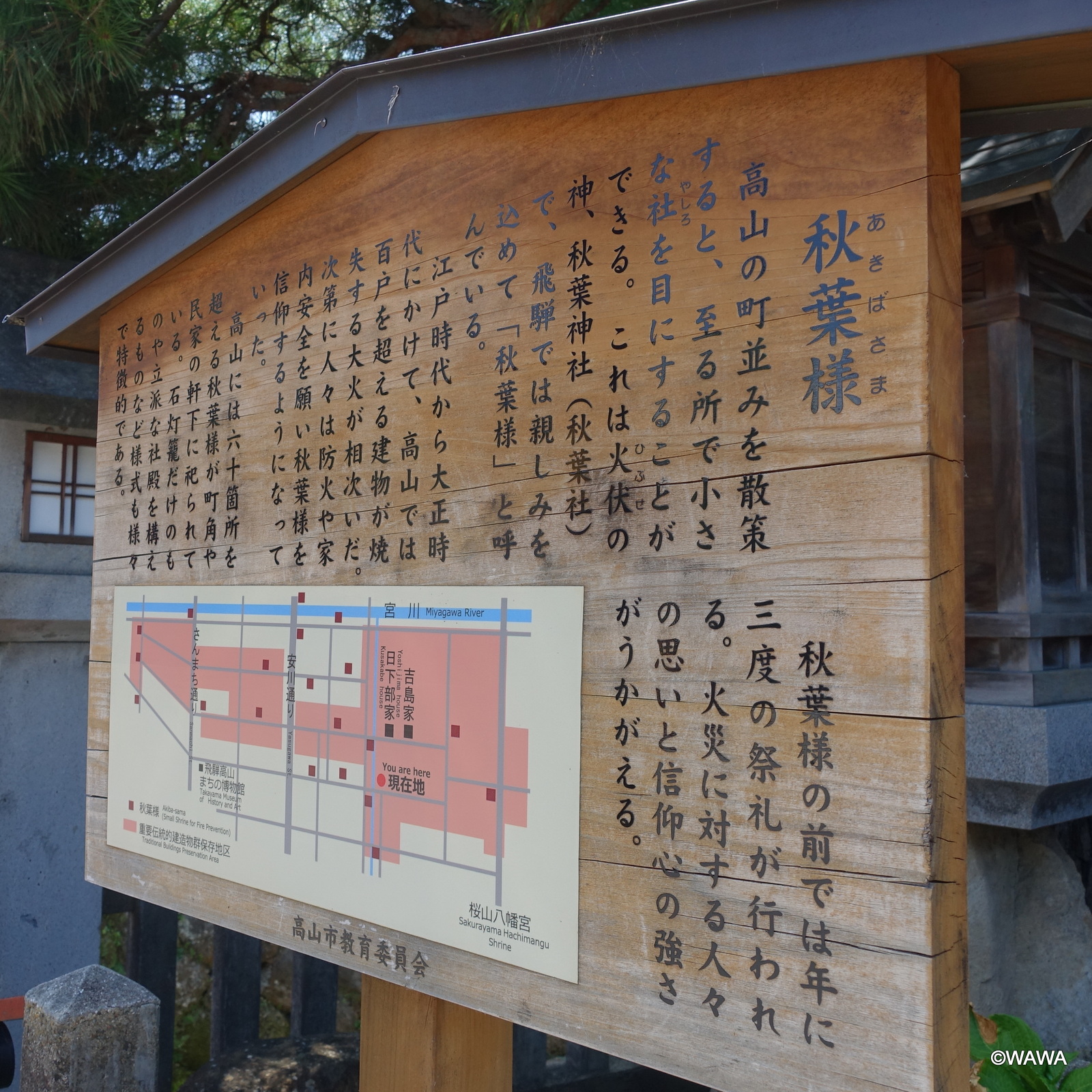 【中古】 花と種 句集/花神社/秋山百合子 中古】 花と種 句集/花神社/秋山百合子