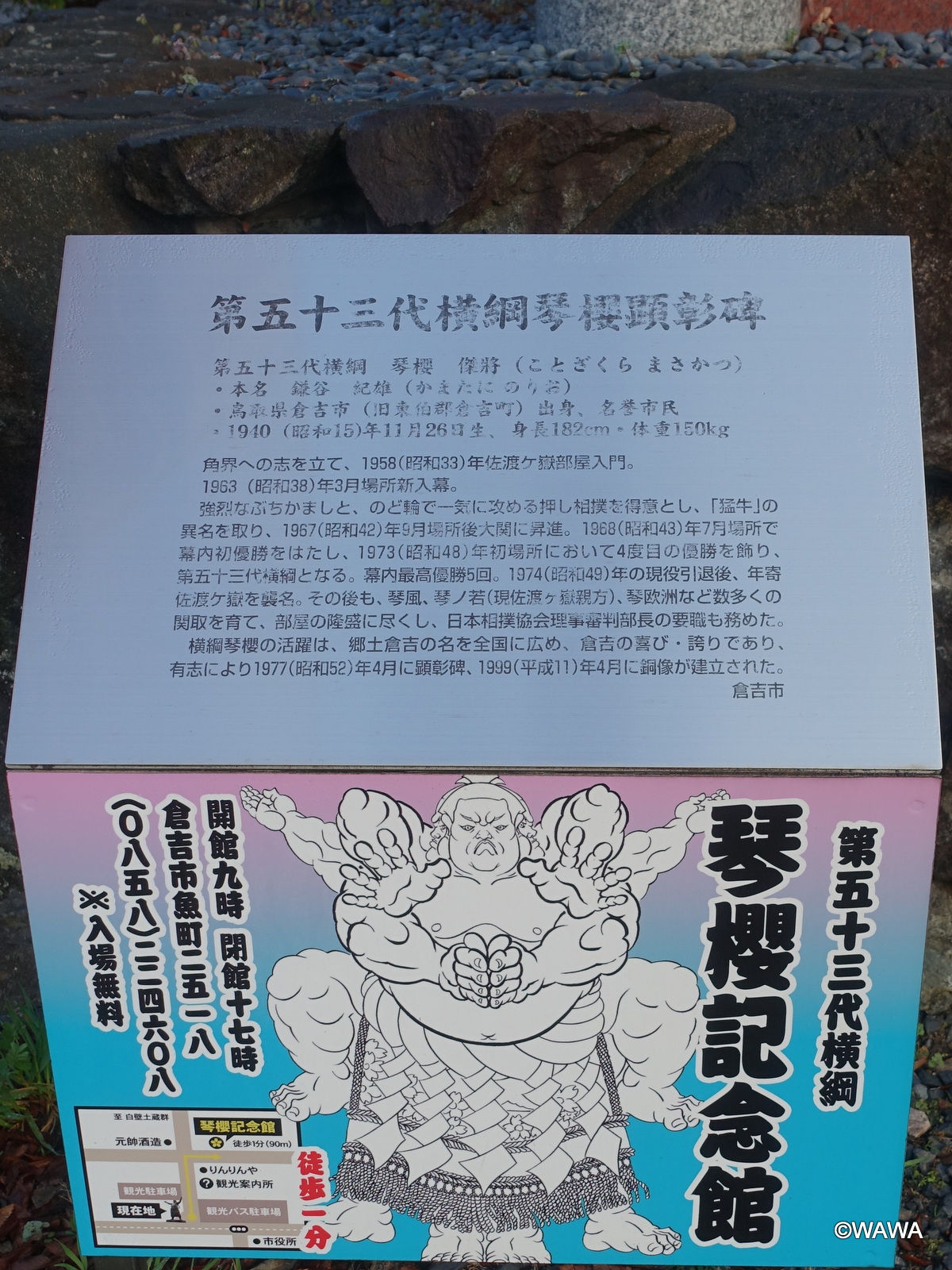 第53代横綱琴櫻 深皿　佐渡ケ嶽部屋 第53代横綱琴櫻 深皿 佐渡ケ嶽部屋 スポーツ選手