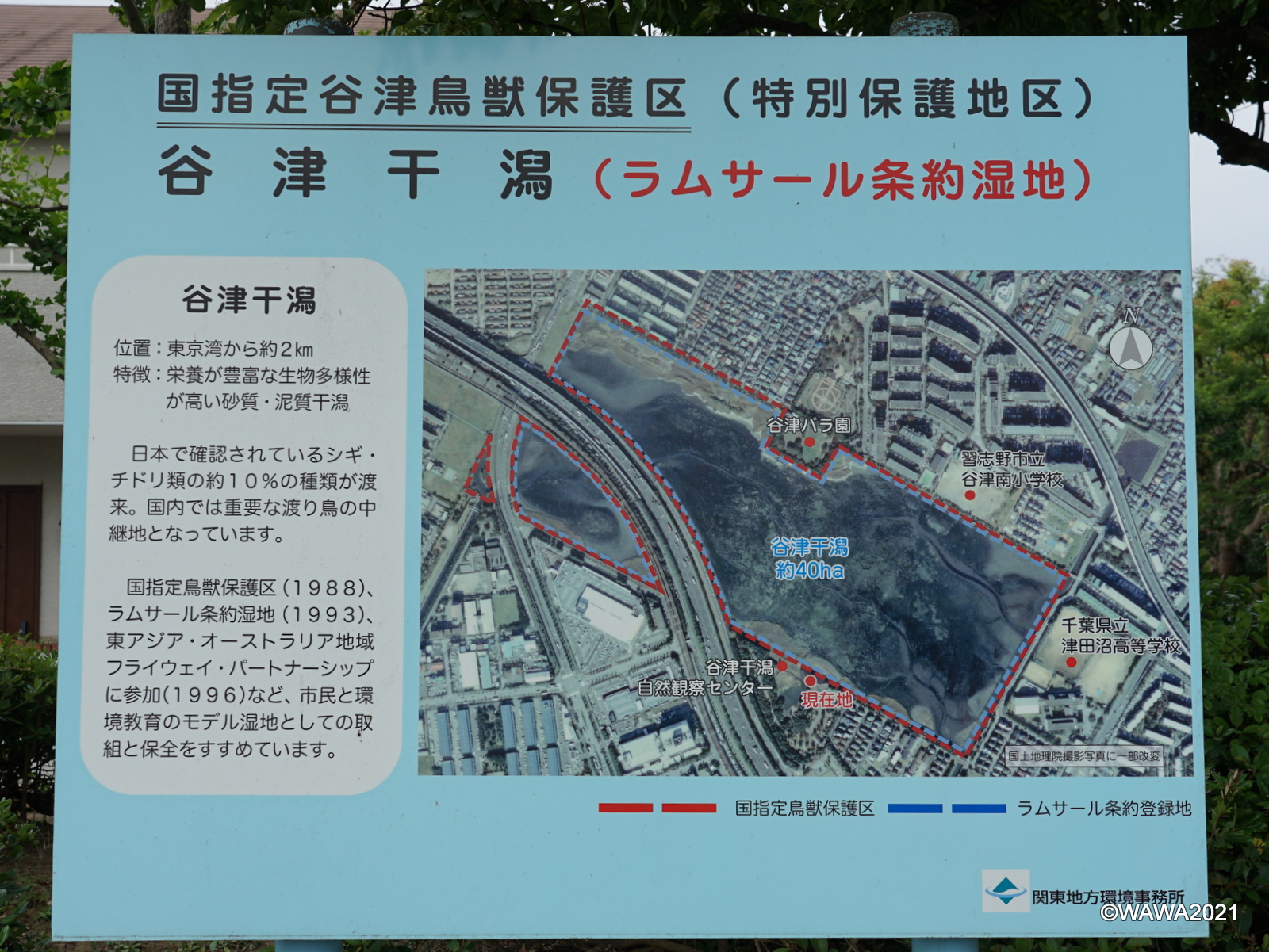 国指定谷津鳥獣保護区(特別保護地区 - Monumento(モニュメント)