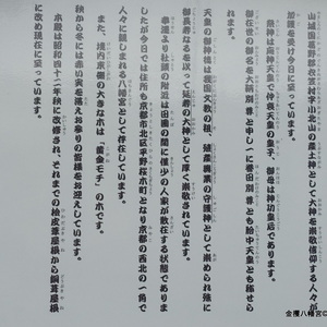 square.JPG?1652274358