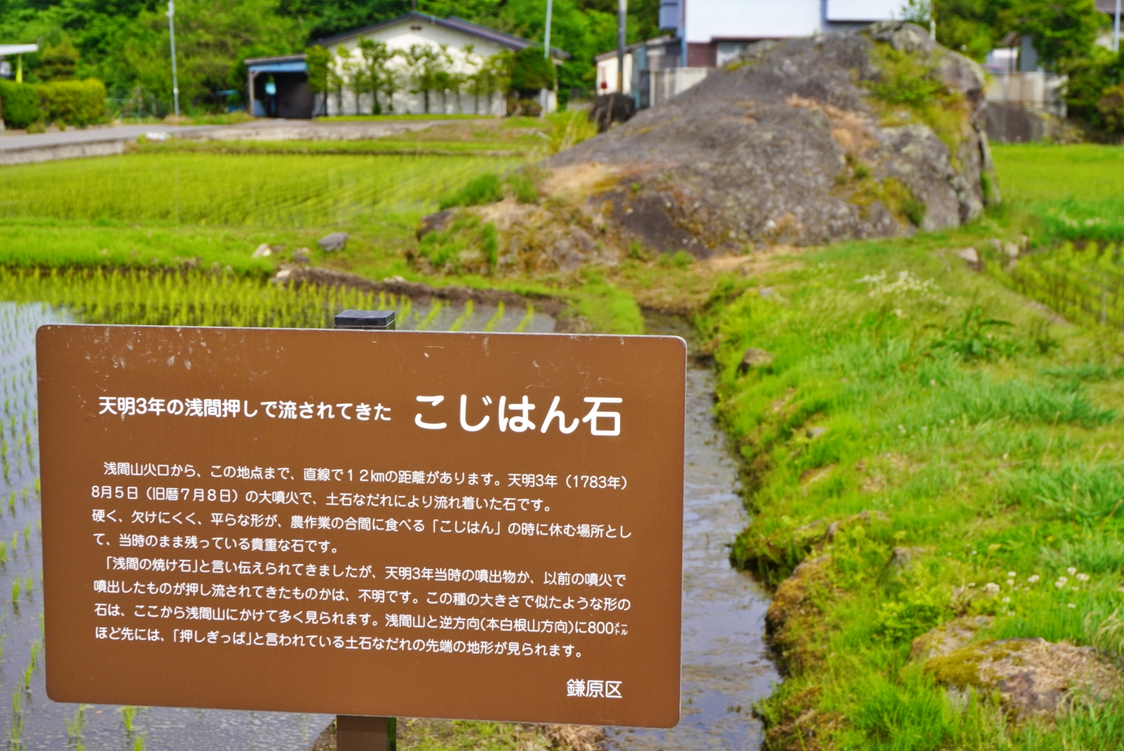 浅間ジオ資源@浅間山の火山弾で作った鉢に タンナゲンカイツツジと岩鏡と岩梨の寄せ植え 浅間ジオ資源@浅間山の火山弾で作った鉢に タンナゲンカイツツジと