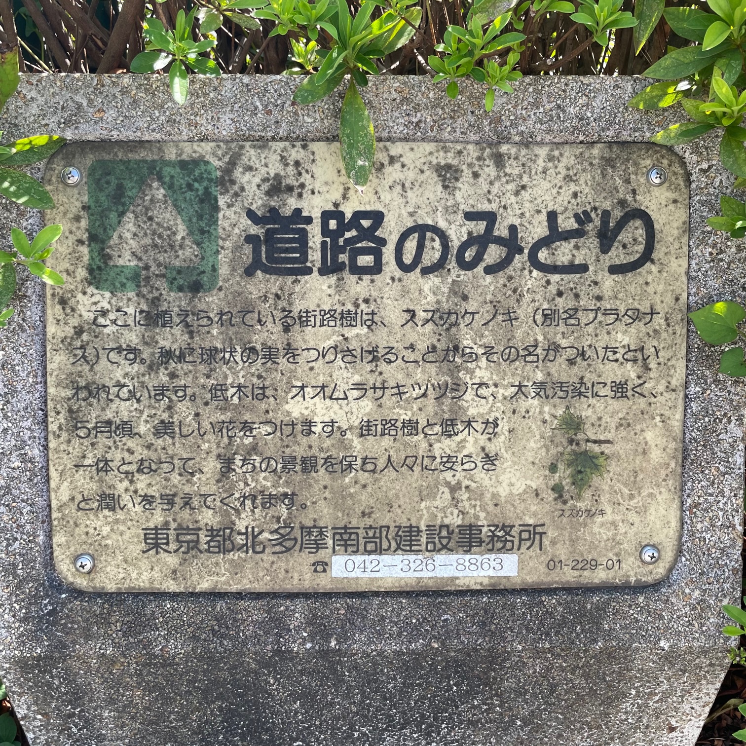 ocr-generated 道路のみどり - Monumento(モニュメント)