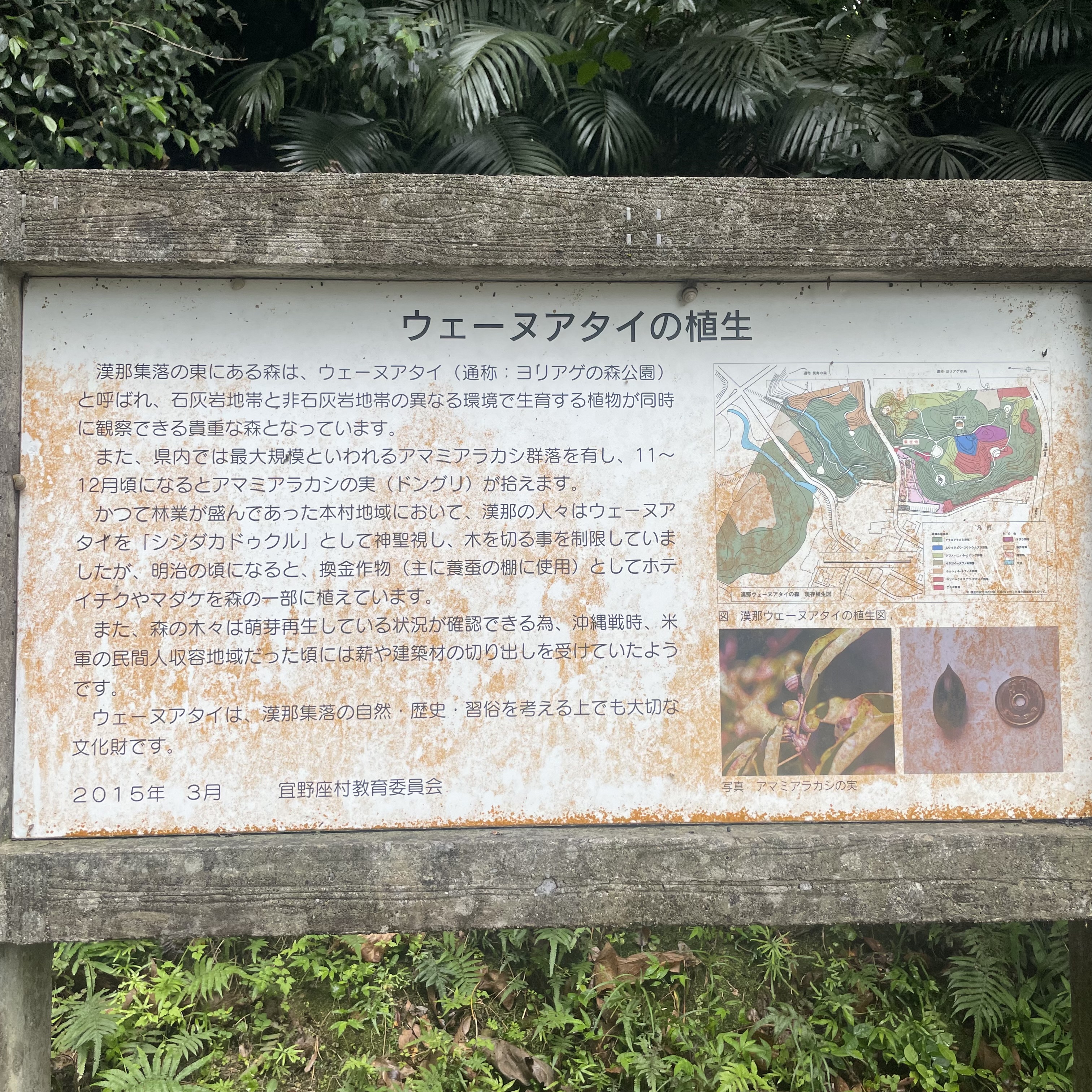 樹木茂る山麓 繁体字 中国語 他言語 旧枠 樹木茂る山麓 繁体字 中国語 他言語 旧枠 - メルカリ