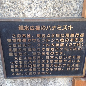 古代錬金鋳造の招福女神ナンクアック　100年近く前の御神体　証明書付　貴重　財運 楠木 正成「非理法権天」 ドッグタグS250531 - メルカリ