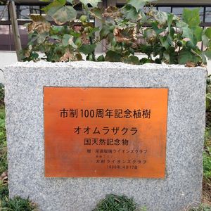 ocr-generated 富永直樹 - Monumento(モニュメント)