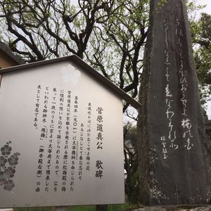 菅原道真公が宿る御神木と原石‼️ square.jpeg?1428047360