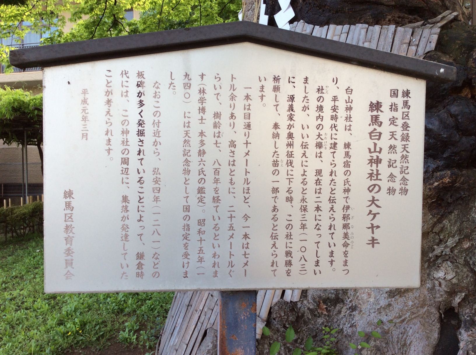 練馬区登録天然記念物 国指定天然記 - Monumento(モニュメント)