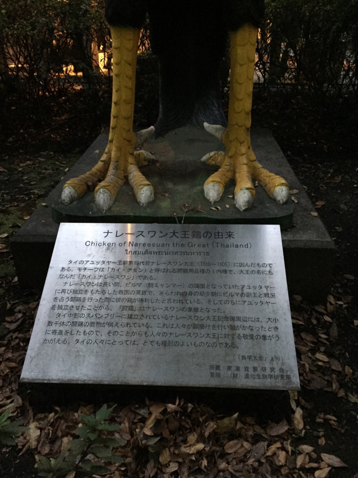 ナレースワン大王鶏の由来 - Monumento(モニュメント)