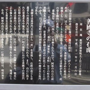 善國寺の石虎 - Monumento(モニュメント)