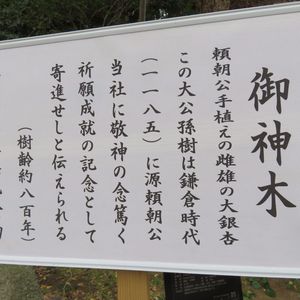 御神木 - Monumento(モニュメント)