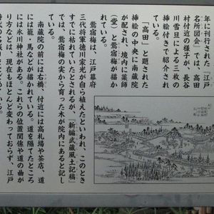 square.jpeg?1410772232