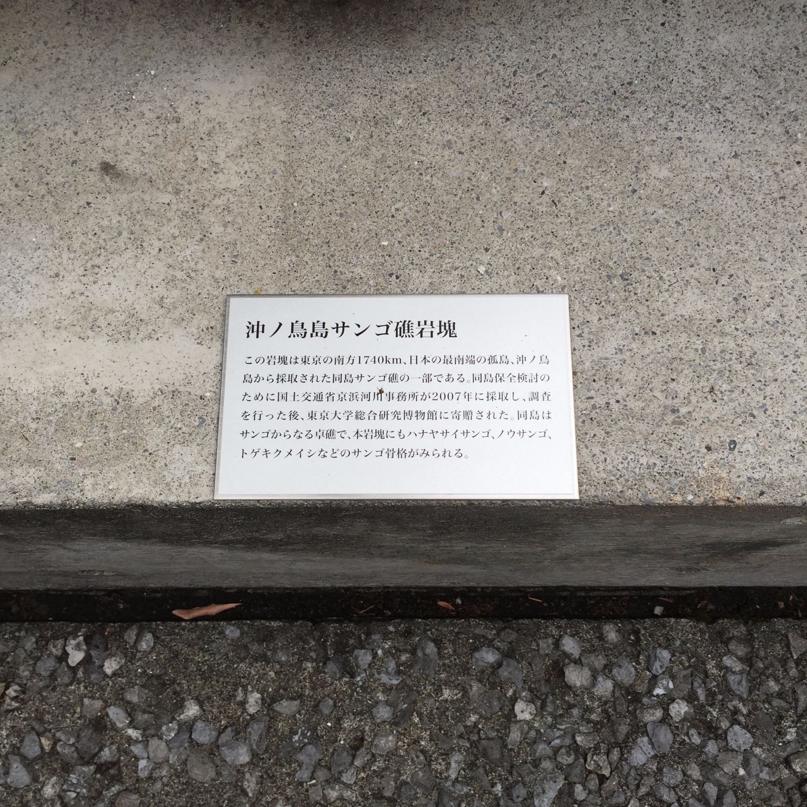 沖ノ鳥島サンゴ礁岩塊 - Monumento(モニュメント)