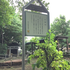 創立百周年記念 高村光太郎書「正直 - Monumento(モニュメント)