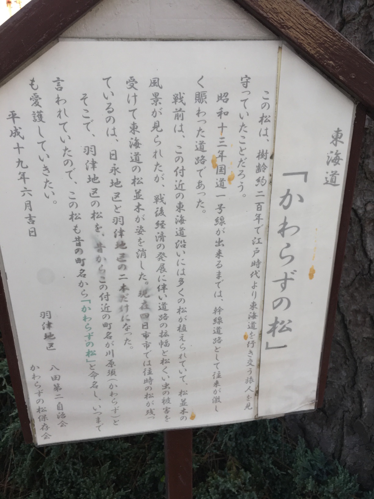 東海道 「かわらずの松」 - Monumento(モニュメント)