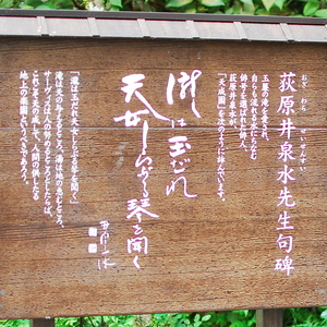 荻原井泉水先生句碑 - Monumento(モニュメント)