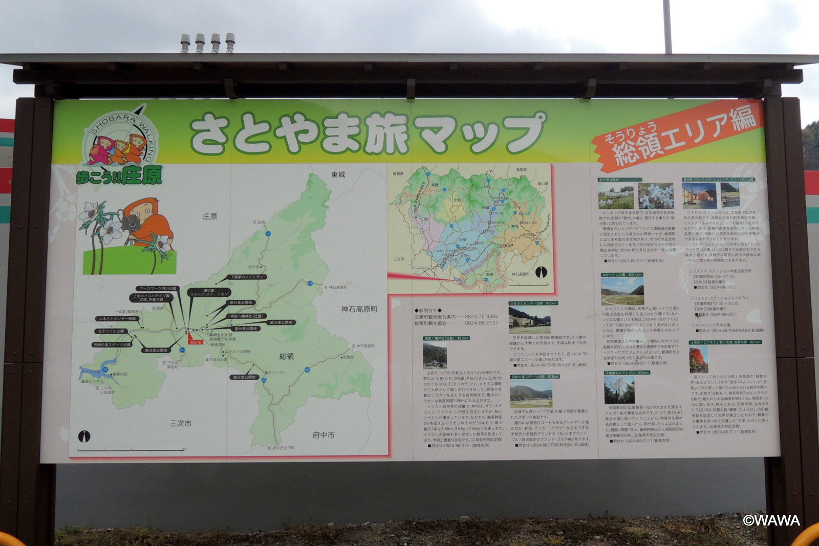 トゥラウゴット・シース山の牧草地図録・レゾネより額付 | ヤマダ