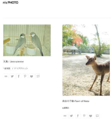 n_s_PHOTO_動物タグ.png N s PHOTO 動物タグ